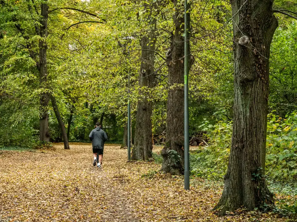 towing service Bedford